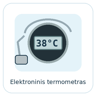 Elektroninis termometras